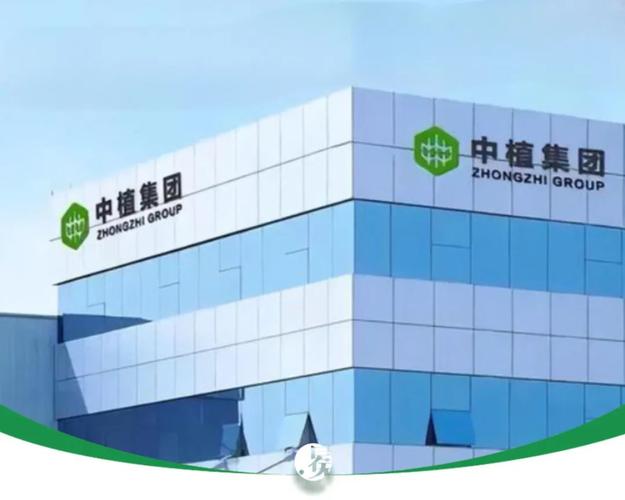高晟财富保险：专业保险规划，保障您的财富