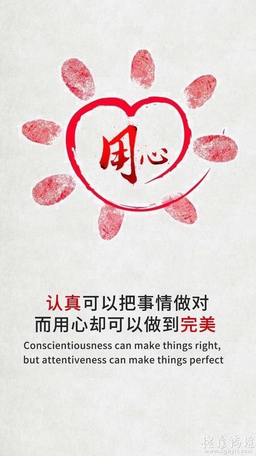 视频车辆保险：保障您的行车安全