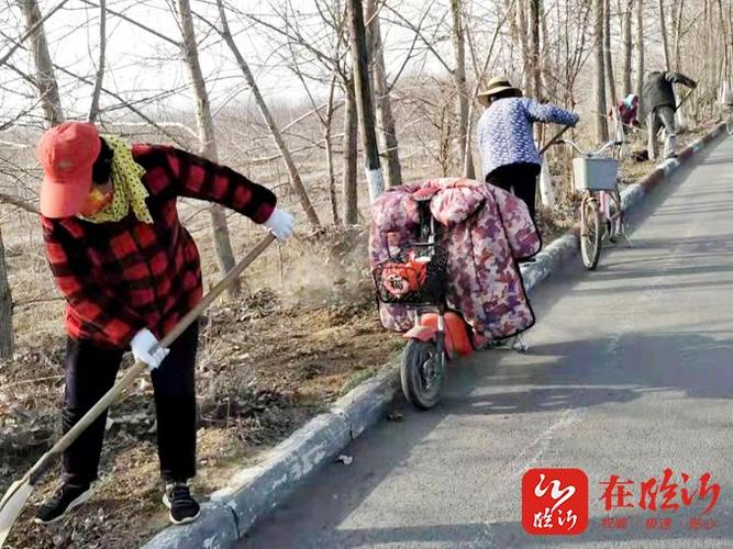 桃树受损保险赔偿指南