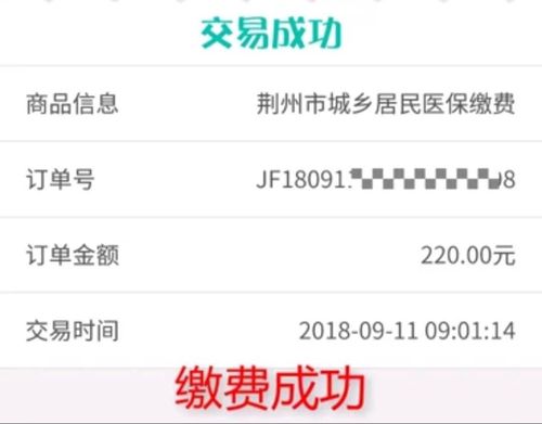 湖北保险交费方式及地点
