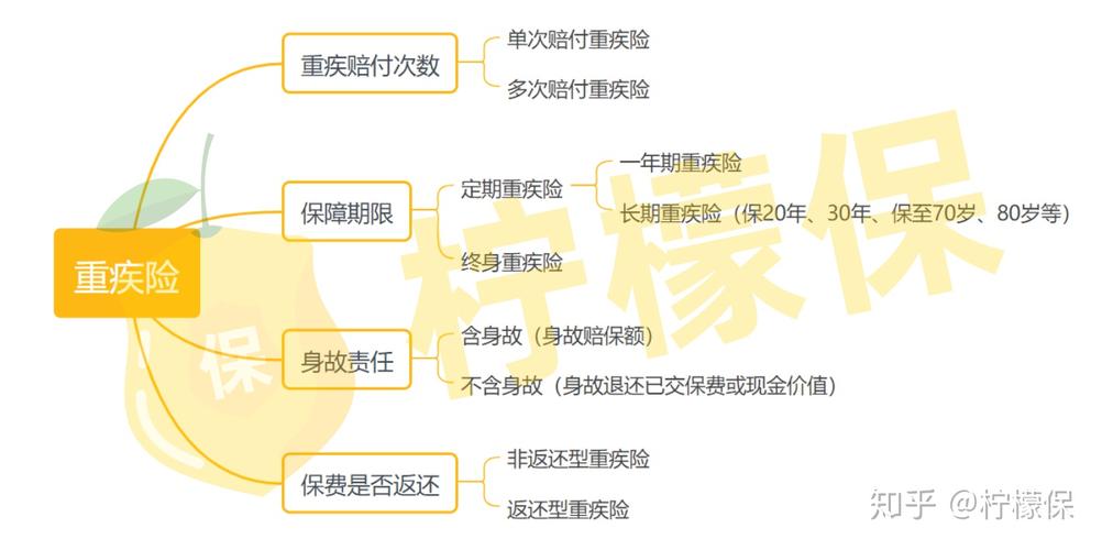 人寿保险类型