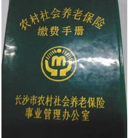 交保险是哪个APp