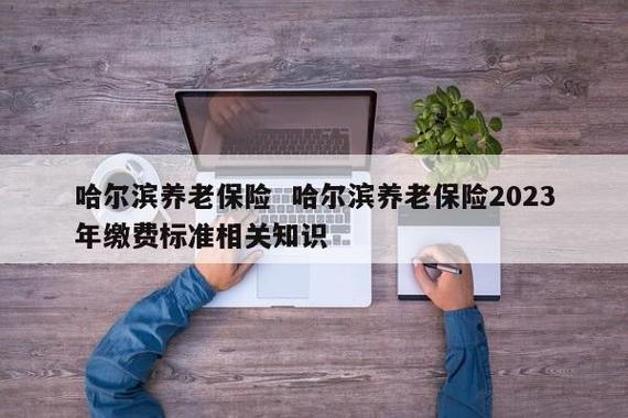 哈尔滨企业养老保险缴费比例
