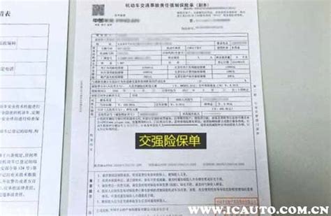 保险单子用随车携带吗