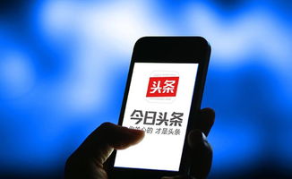 抖音罚款保险