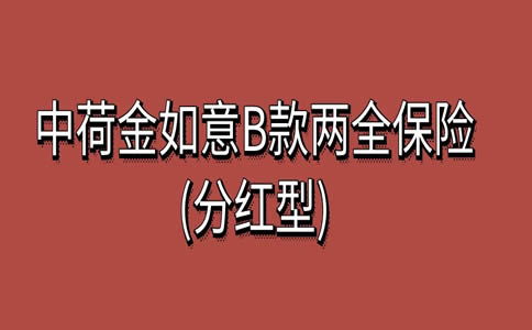 民生如意相伴两全保险b款优缺点