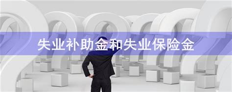 失业保险基础知识