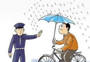 小车有责任不保险吗