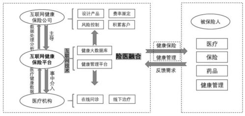 保险公司的体系结构