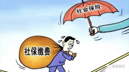 城乡居民社会保险和灵活就业社会保险