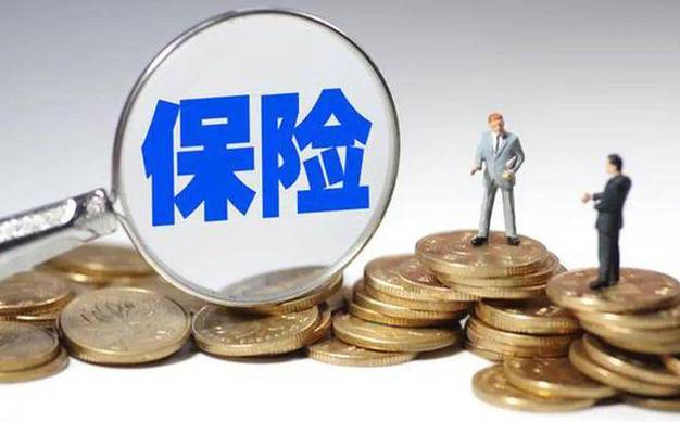 担保与保险