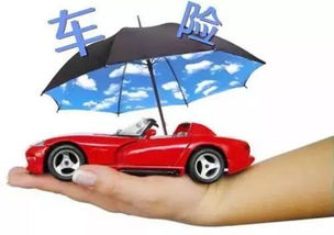 车不小心刮了怎么报保险