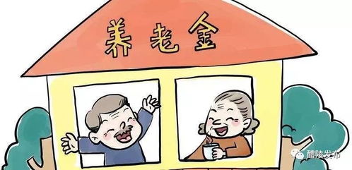 农村老人医疗保险报销比例