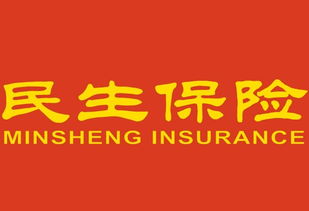 合肥民生保险地址