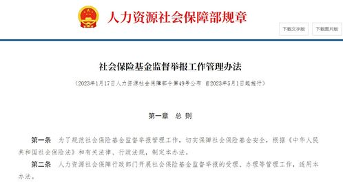 东营保险公司排名