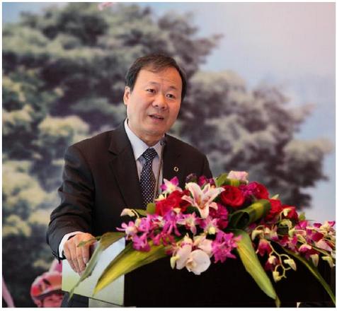 万峰新华保险董事长简历