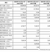 新瀚新材遭遇主力资金净卖出市场动态与潜在影响分析