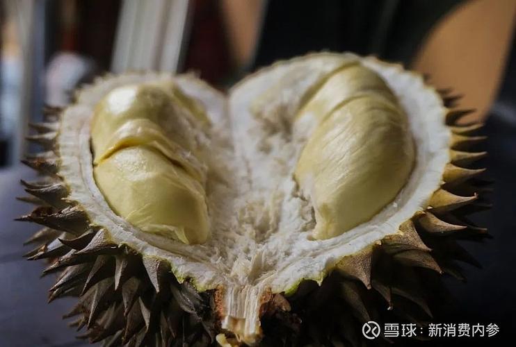 新消费快讯|轰趴馆品牌运营商漆橙文化完成1500万天使轮融资;奢侈时装2天前