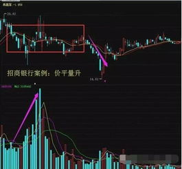 华夏上证科创板成份股成交量破万手市场活力与投资机遇的体现
