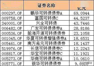 牛市前兆显现可转债大涨引领市场，冠军基金收益率突破预期