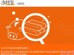 富友支付有限公司