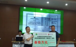 新疆融资担保有限责任公司