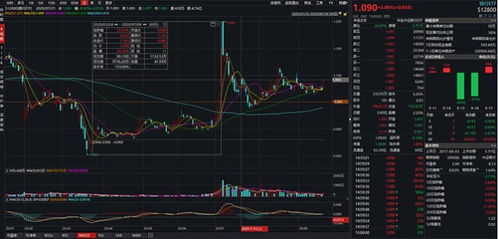 主力榜科创龙头主力资金净流入万元，居可比基金第一