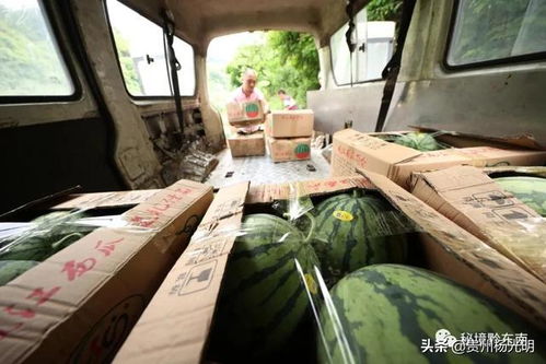 俞敏洪：董宇辉收购与辉同行款项来源于美股上市公司新东方
