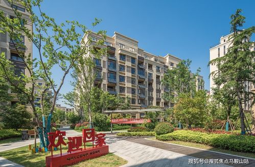 股票型市场强劲吸金，月净流入额接近亿元