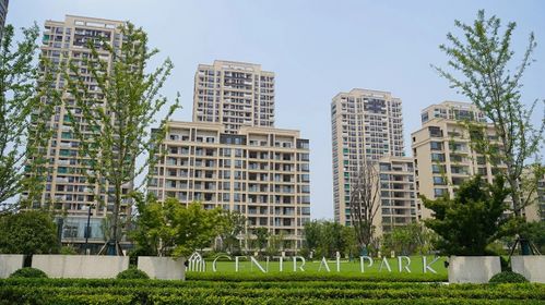 上海杨浦滨江水岸科学家社区的新篇章