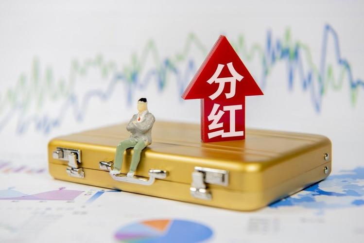 鹏华丰盈债券基金月度分红解析