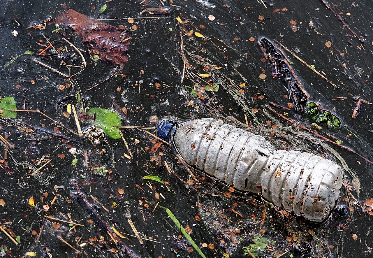 崂山水库鱼类漂浮成灾？不实