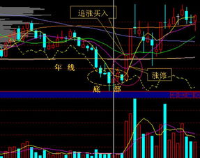 涨停揭秘信隆健康首板涨停，封板资金万元