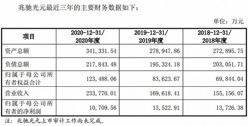 上海临港（）年中报简析：增收不增利