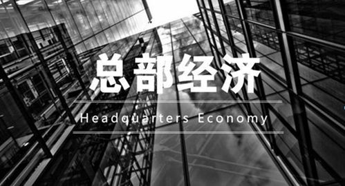 优化营商环境税务部门多举措助力企业跑出高质量发展加速度