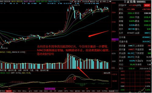 湖南白银获北向资金买入万元，累计持股万股