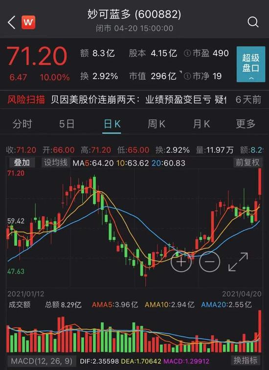 主力资金动态