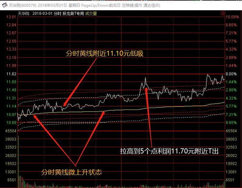 股票与资金流动的背后