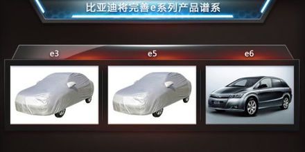 嘉实3个月理财债券e