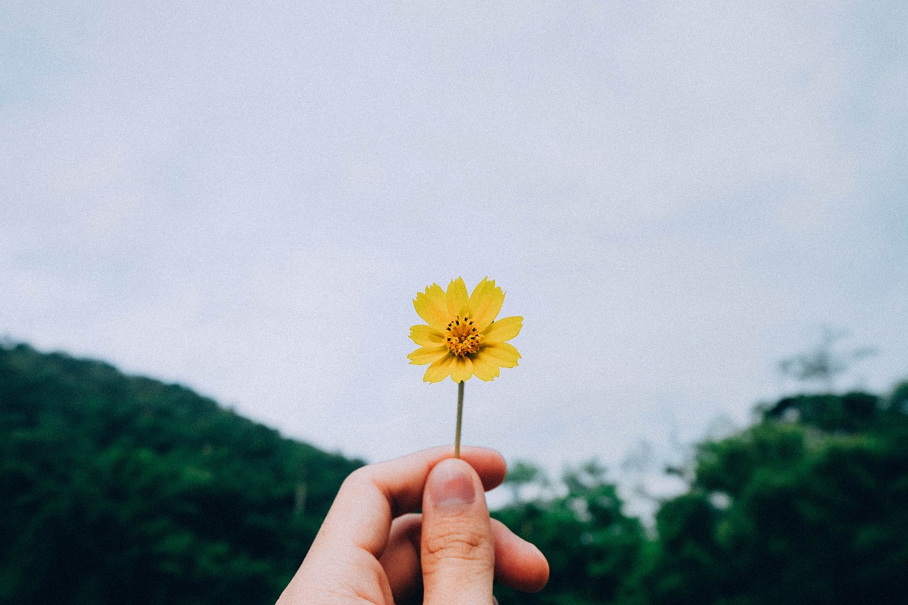 保险新人培训第二天，从迷茫到清晰，我的成长之路