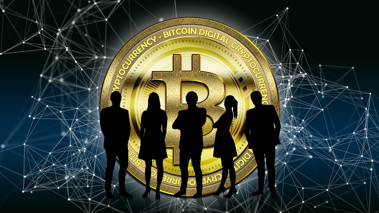 金融保险介绍视频大全，开启财富保障之门