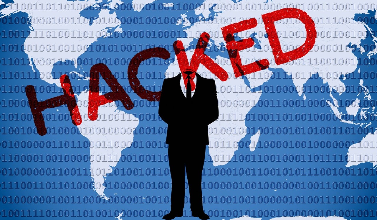 深入解析，保险查询系统的强大功能与数据获取能力